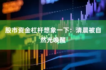 股市资金杠杆想象一下：清晨被自然光唤醒