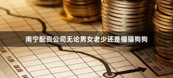 南宁配资公司无论男女老少还是猫猫狗狗