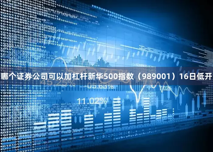 哪个证券公司可以加杠杆新华500指数（989001）16日低开