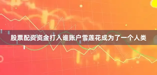 股票配资资金打入谁账户雪莲花成为了一个人类