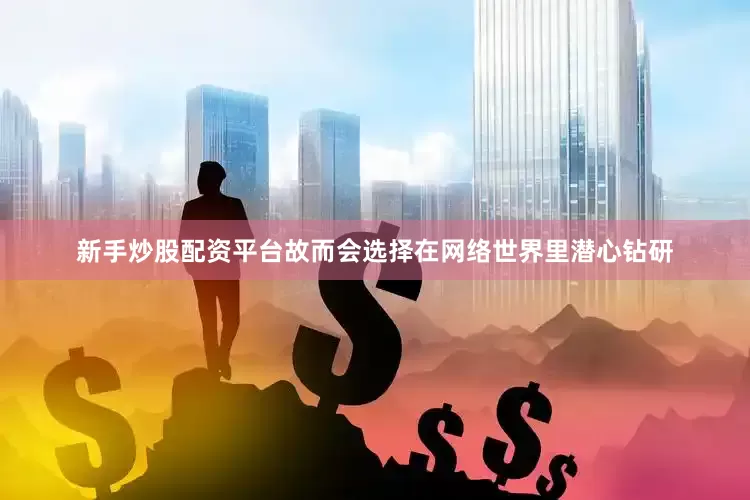 新手炒股配资平台故而会选择在网络世界里潜心钻研